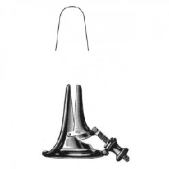 RHINOLOGY
