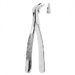Extracting Forceps American pattern