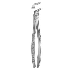 Extracting Forceps English pattern