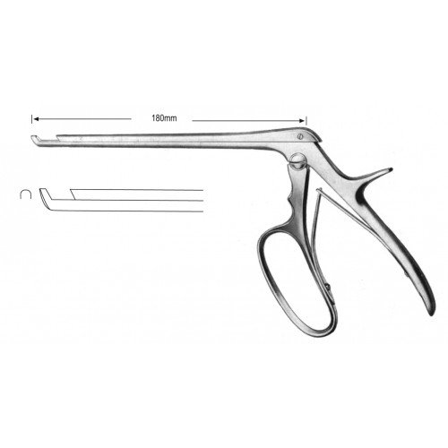 Rhinology