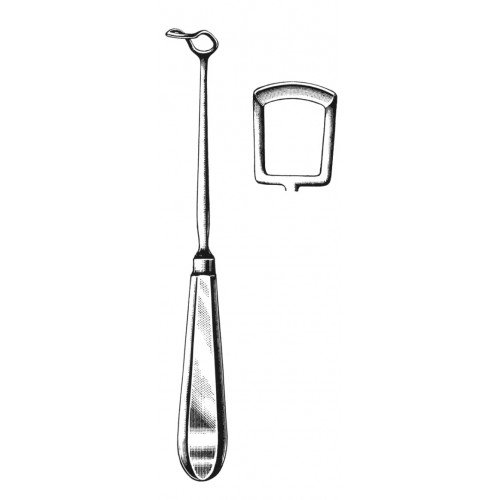 Rhinology