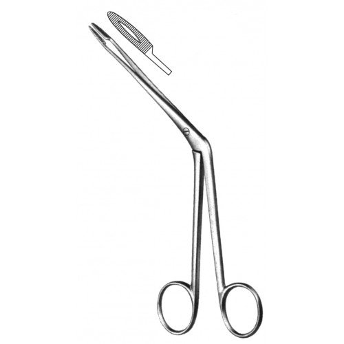 Rhinology