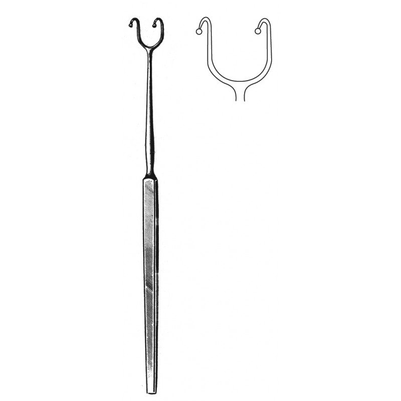 Rhinology