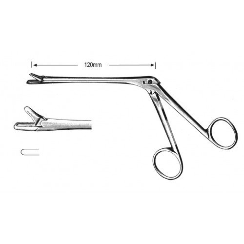 Rhinology