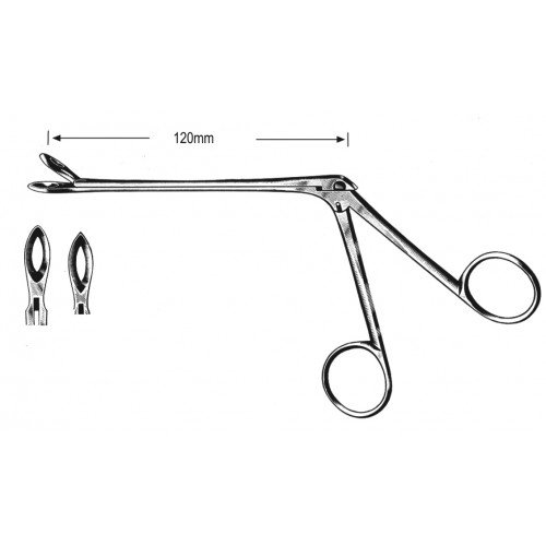 Rhinology