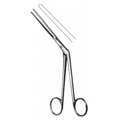 Rhinology