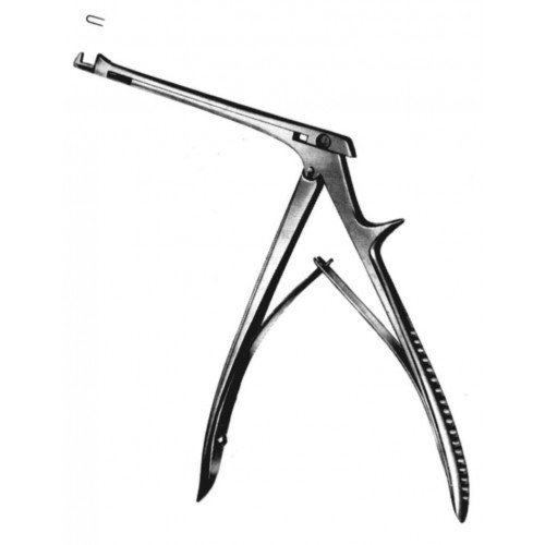 Rhinology