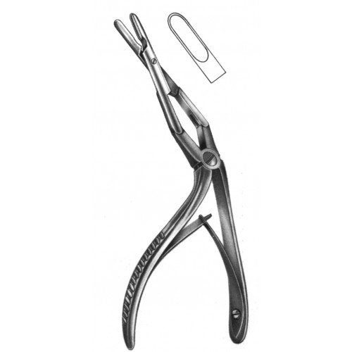 Rhinology