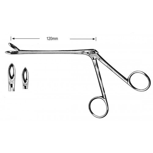 Rhinology