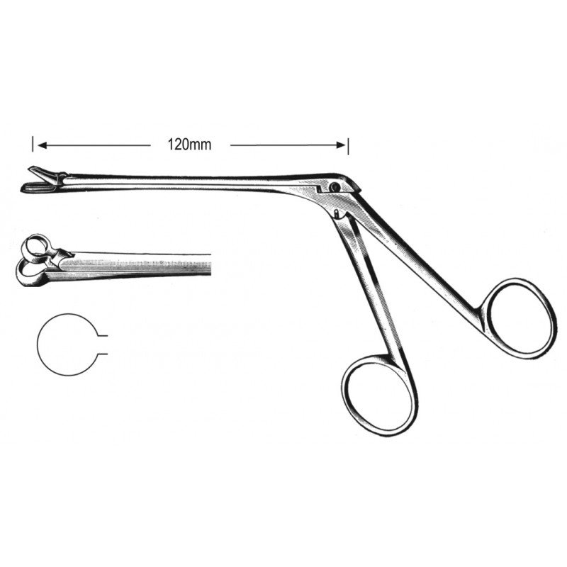 Rhinology