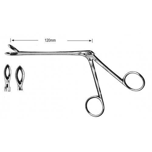 Rhinology