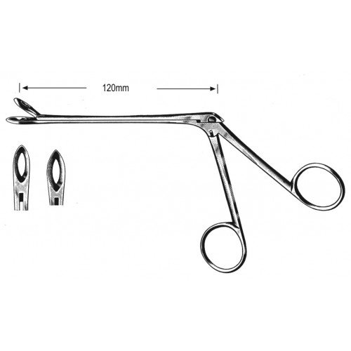 Rhinology