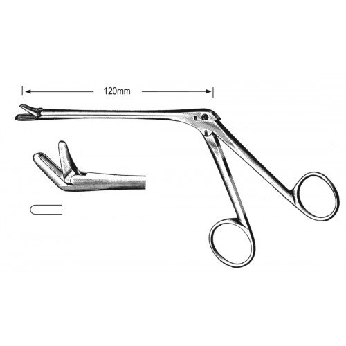 Rhinology