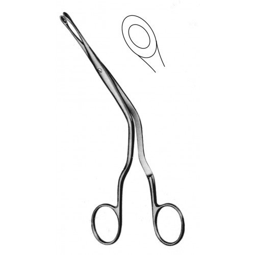 Rhinology