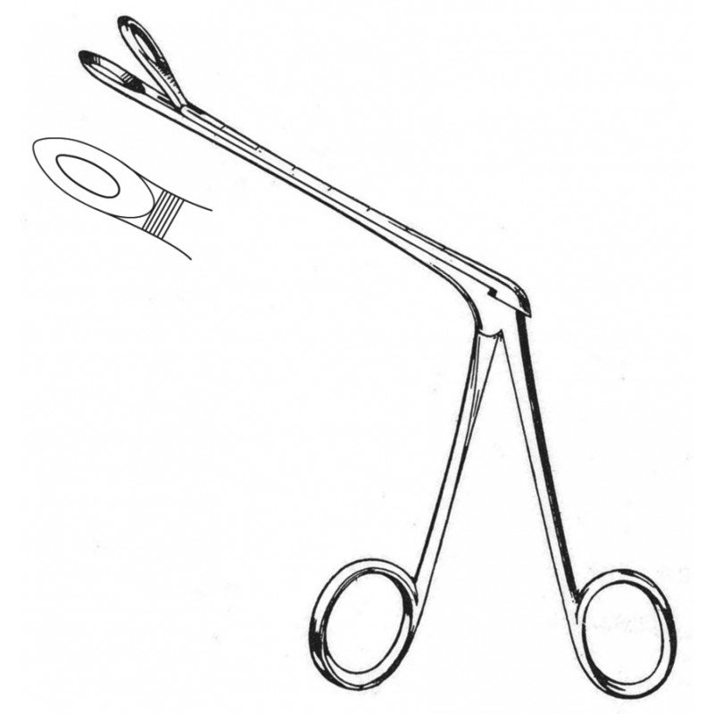 Rhinology