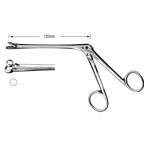 Rhinology
