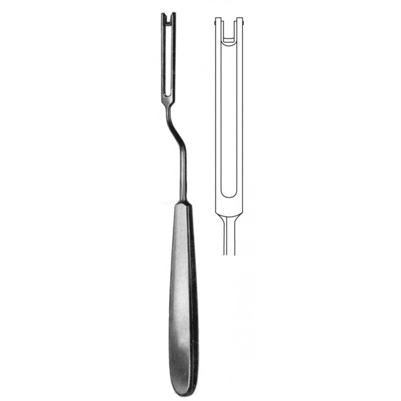 Rhinology