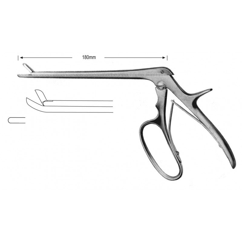 Rhinology