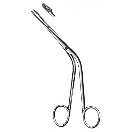 Rhinology