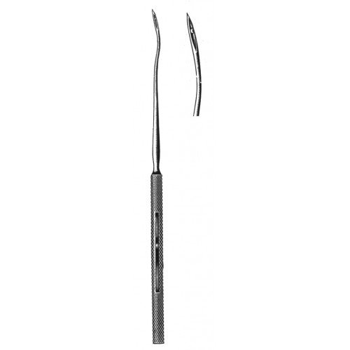 Rhinology