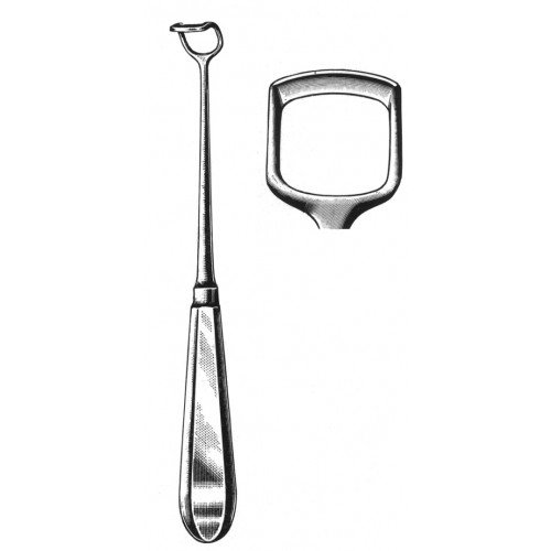 Rhinology