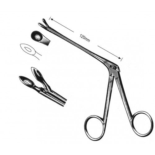 Rhinology