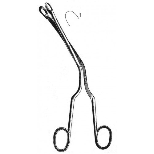 Rhinology