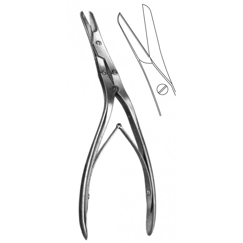 Rhinology