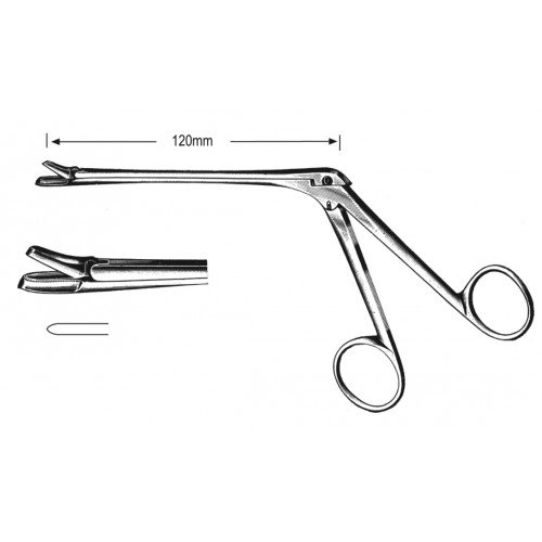 Rhinology