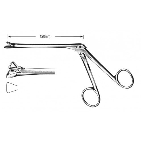 Rhinology