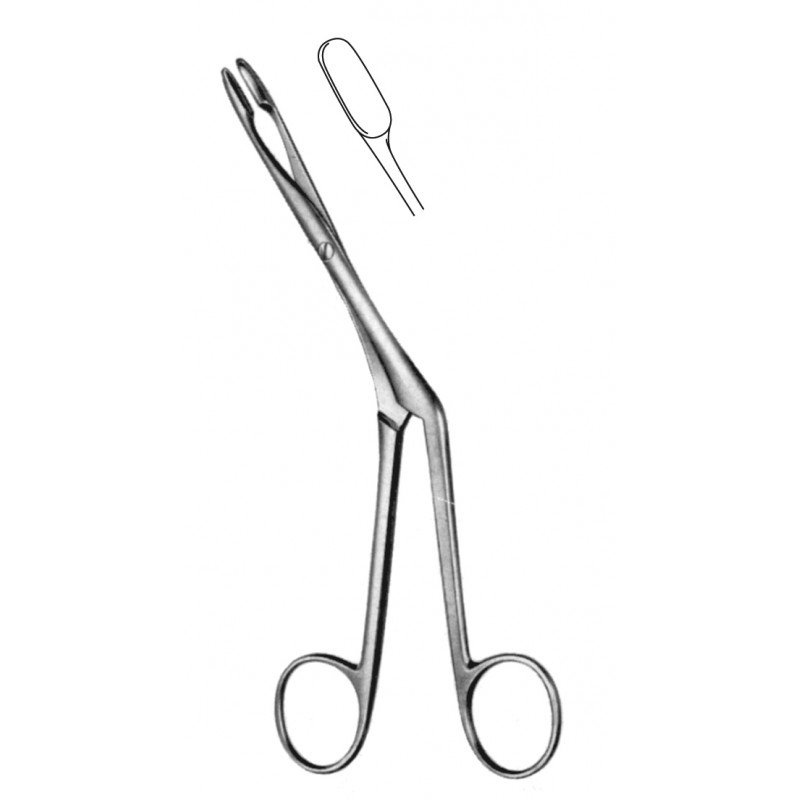 Rhinology
