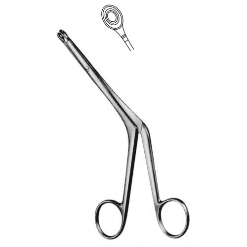Rhinology
