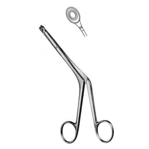 Rhinology
