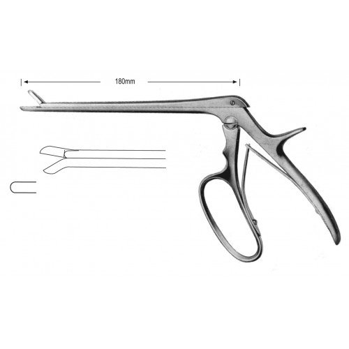 Rhinology