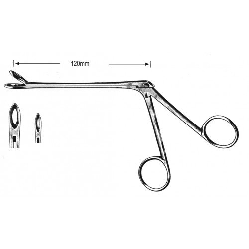Rhinology