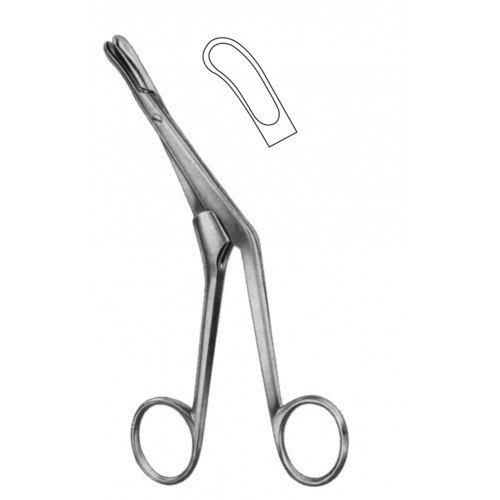 Rhinology