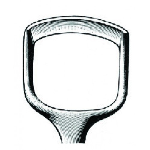 Rhinology
