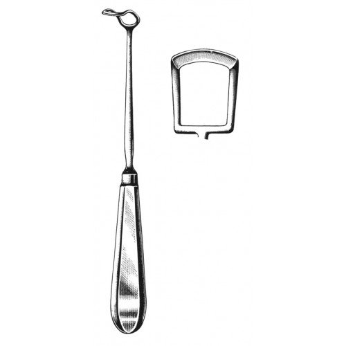Rhinology