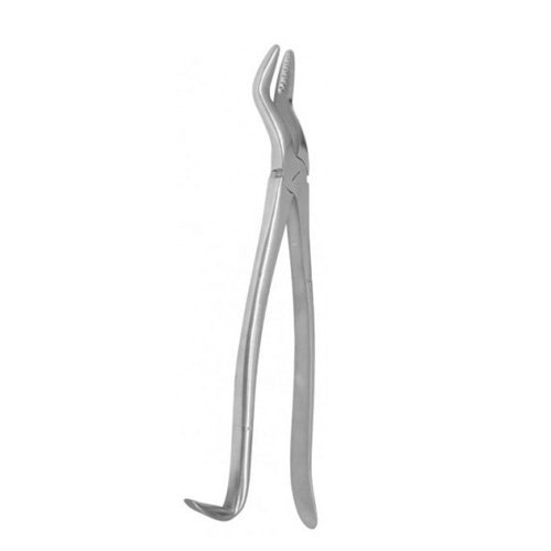 Equine Dental Instruments