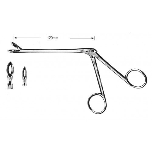 Rhinology