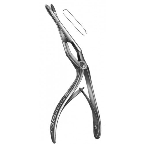 Rhinology
