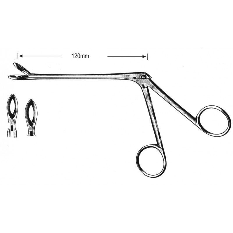 Rhinology