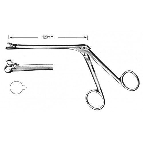 Rhinology