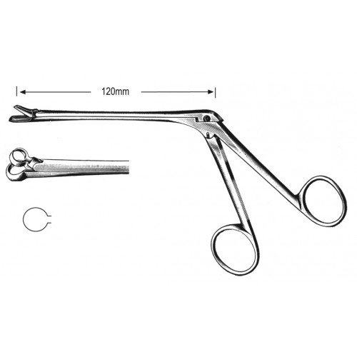 Rhinology