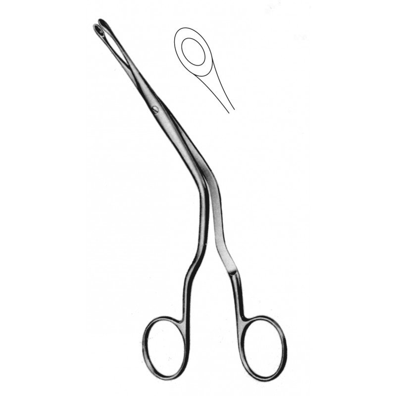 Rhinology