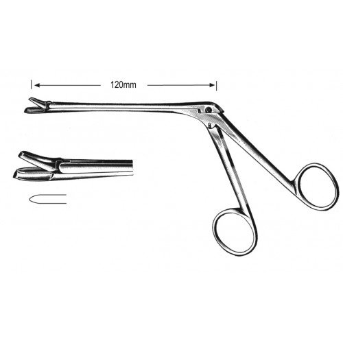Rhinology