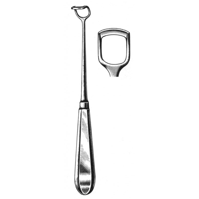 Rhinology
