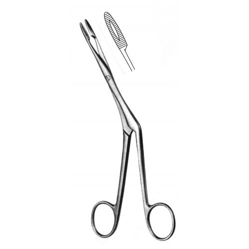 Rhinology