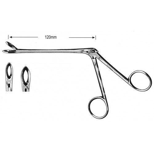 Rhinology