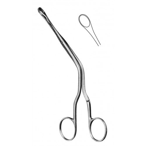 Rhinology